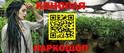 эйфоретик Бузулук