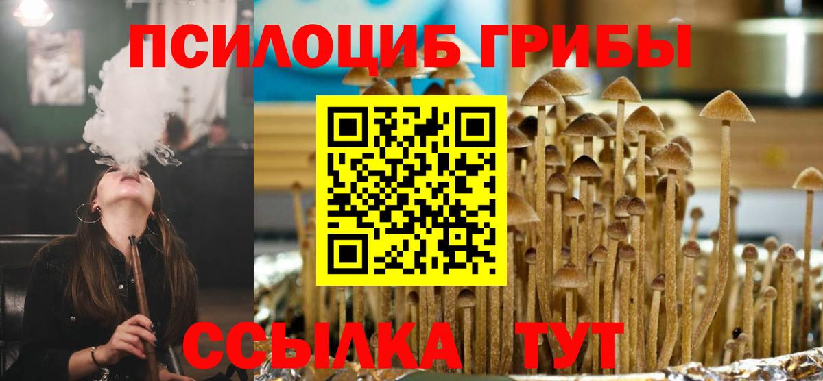 Псилоцибиновые грибы мицелий  Вход с VPN  закладки  Юрга 